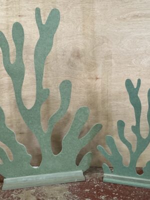 Two-Peice Coral Set
